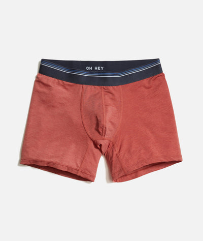 Air Boxer Brief