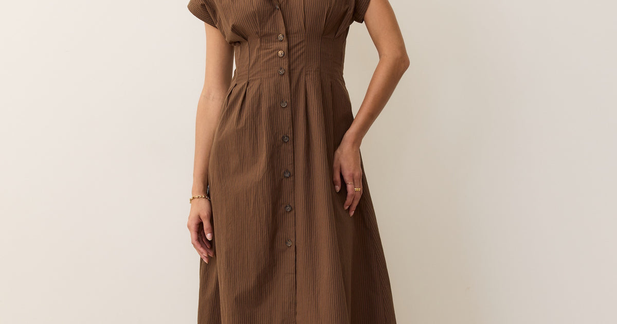 Women's Arden Midi Shirt Dress | Brown/Black Pinstripe