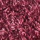 Cabernet Stripe