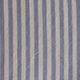 Blue Stripe