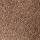 Color Variant