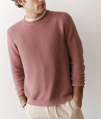 Noah Rollneck Sweater