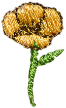 California Poppy