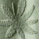 Color Variant