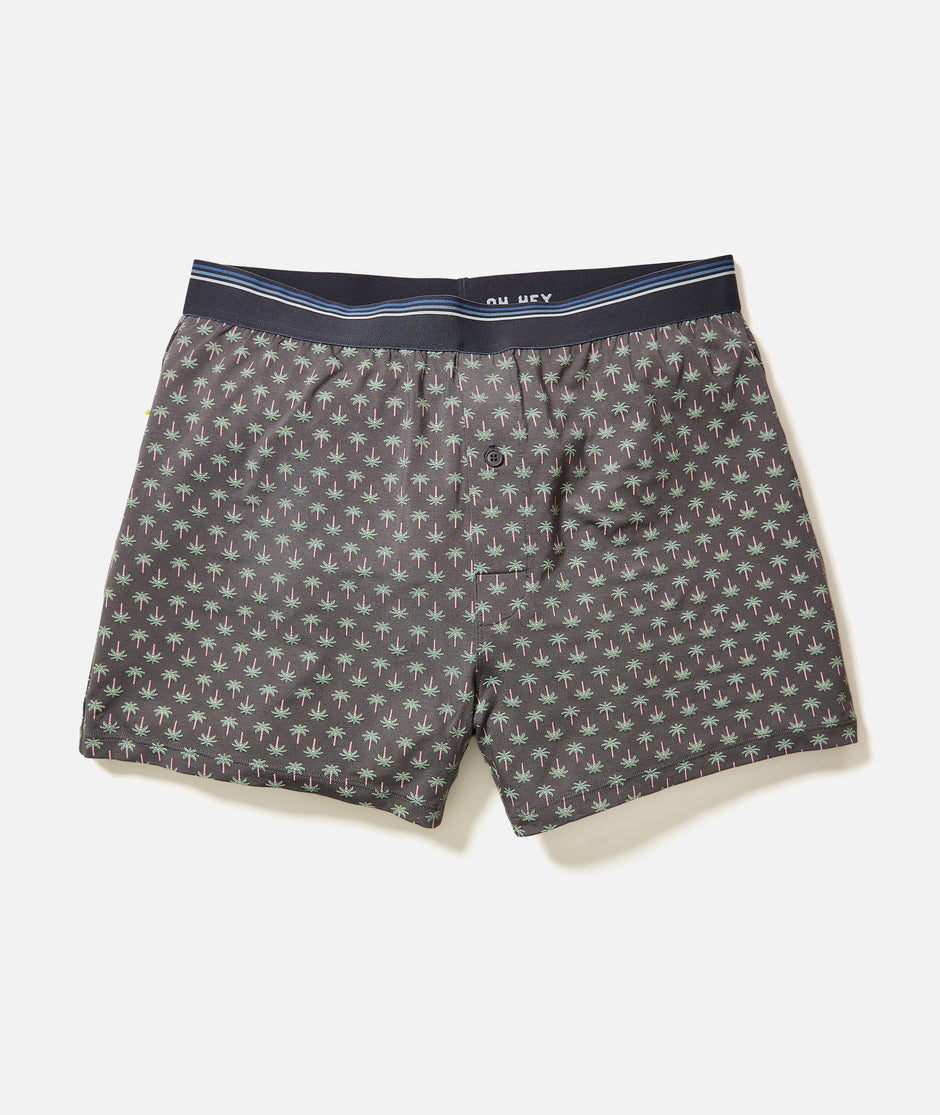 Best Boxers Ever
