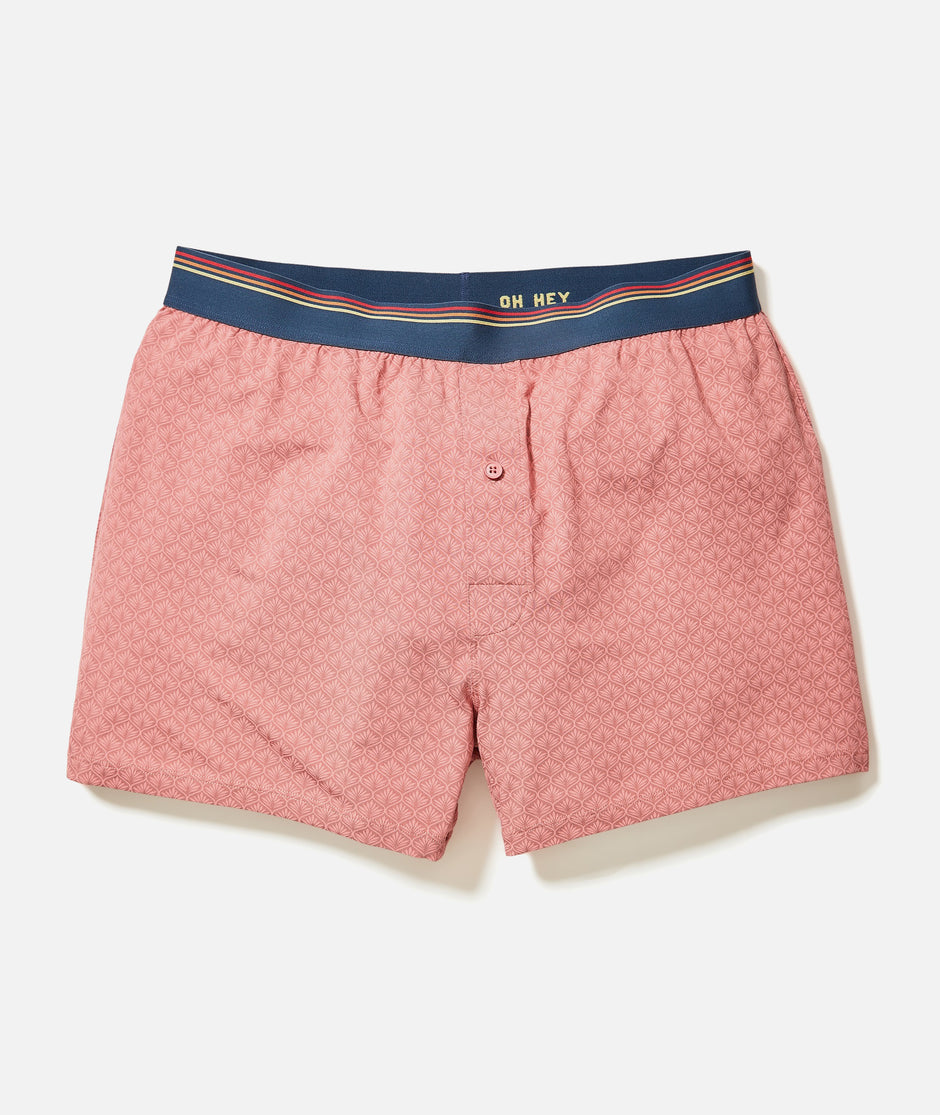 Best Boxers Ever