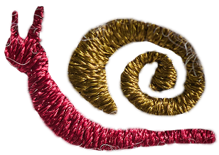 Mr. Snail