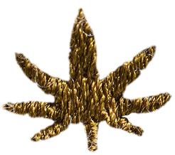 Mary Jane