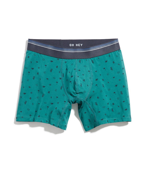 Best Boxer Briefs Ever in Mystic