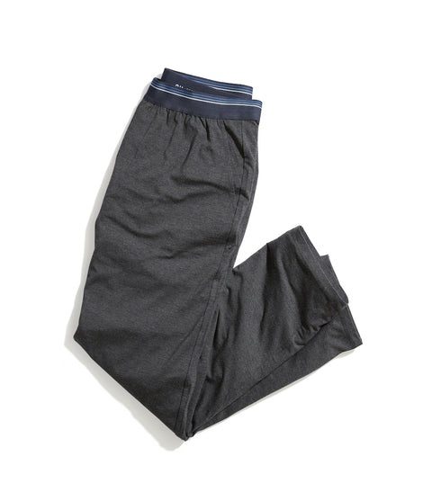 Best Sleep Pant Ever in Charcoal Heather